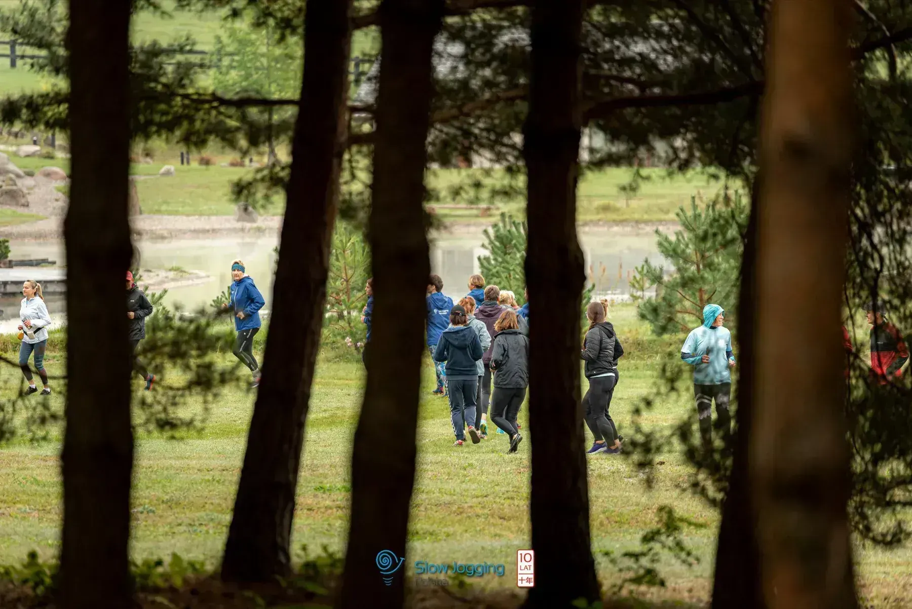 Trucht wśród sosen — Slow Jogging Polska